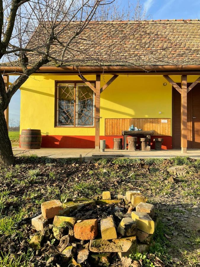 Het Hongaarse Wijnhuis Mohacs Bagian luar foto