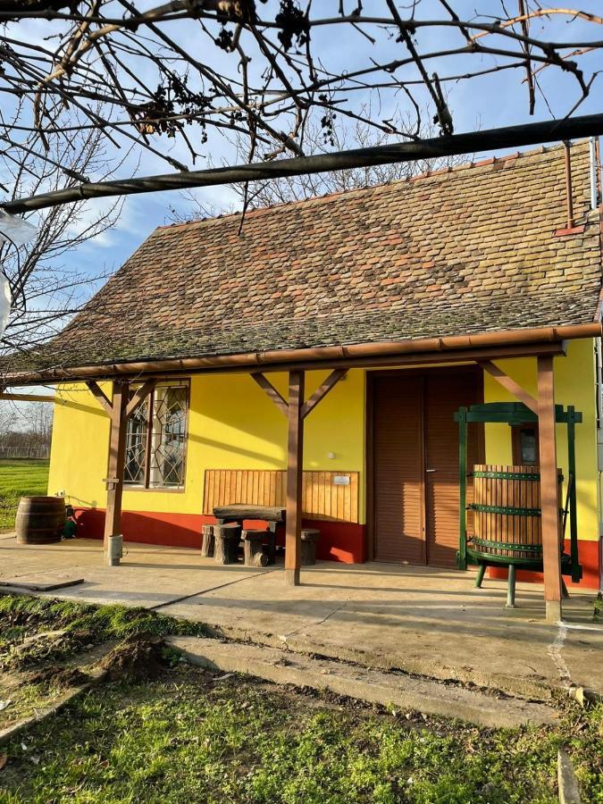 Het Hongaarse Wijnhuis Mohacs Bagian luar foto