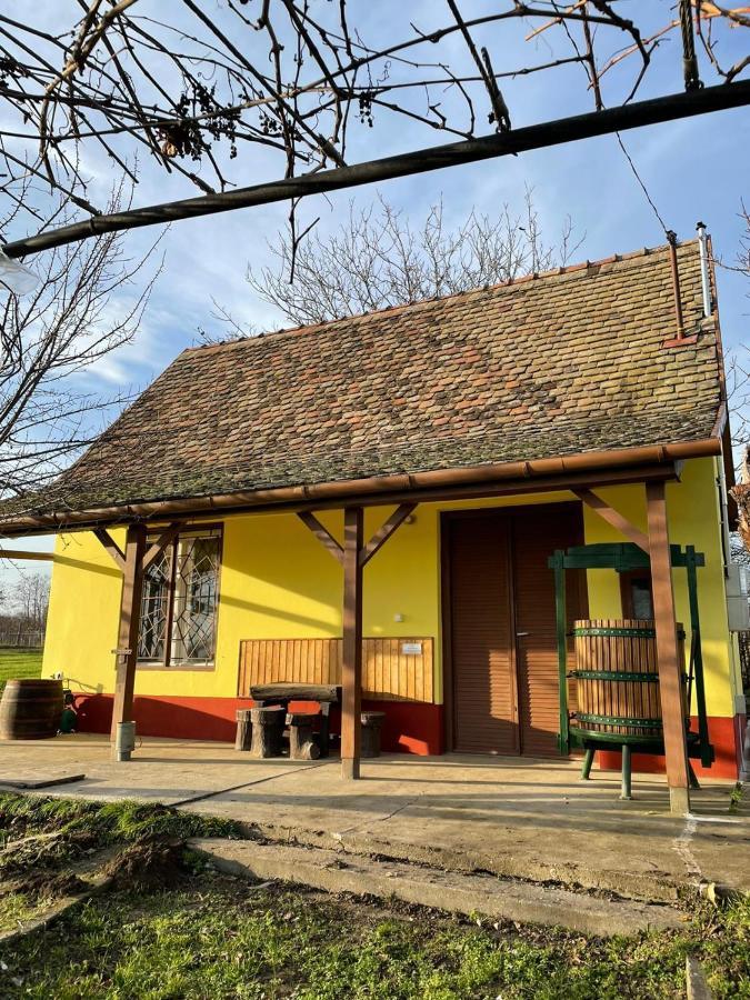 Het Hongaarse Wijnhuis Mohacs Bagian luar foto