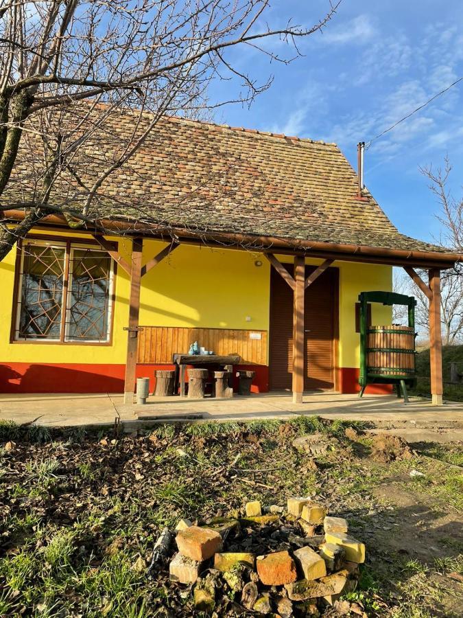 Het Hongaarse Wijnhuis Mohacs Bagian luar foto